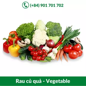 Rau củ quả - Vegetable_-06-11-2021-23-31-06.webp